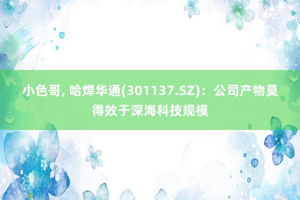 小色哥， 哈焊华通(301137.SZ)：公司产物莫得效于深海科技规模
