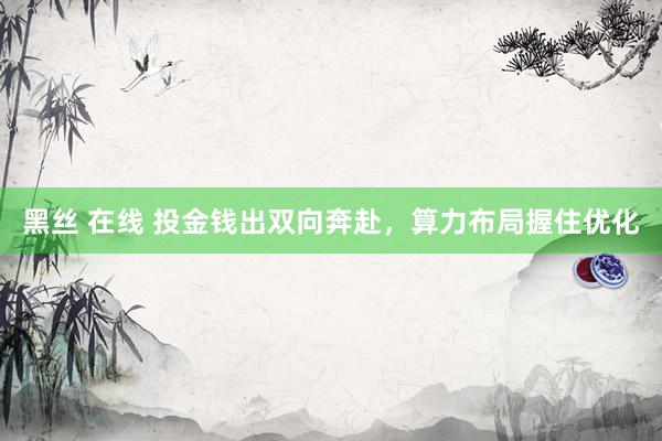 黑丝 在线 投金钱出双向奔赴，算力布局握住优化