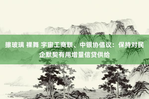 擦玻璃 裸舞 宇宙工商联、中银协倡议：保持对民企默契有用增量信贷供给