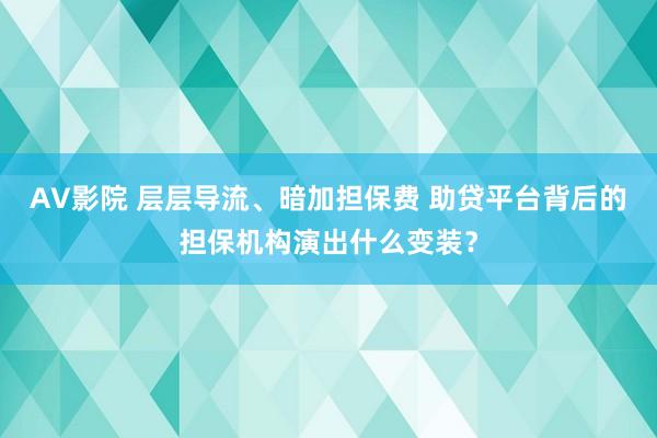AV影院 层层导流、暗加担保费 助贷平台背后的担保机构演出什么变装？