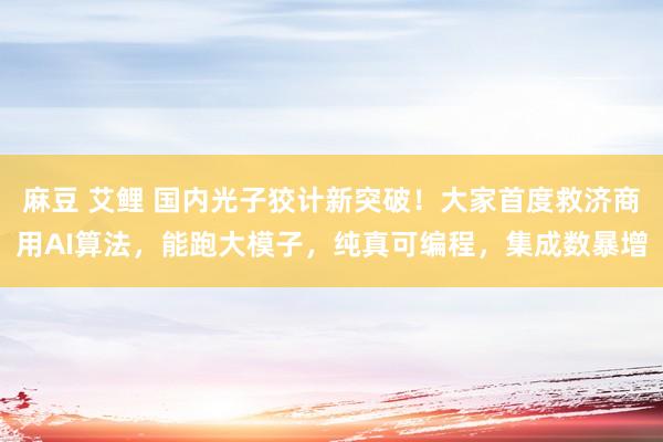 麻豆 艾鲤 国内光子狡计新突破！大家首度救济商用AI算法，能跑大模子，纯真可编程，集成数暴增