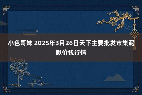 小色哥妹 2025年3月26日天下主要批发市集泥鳅价钱行情