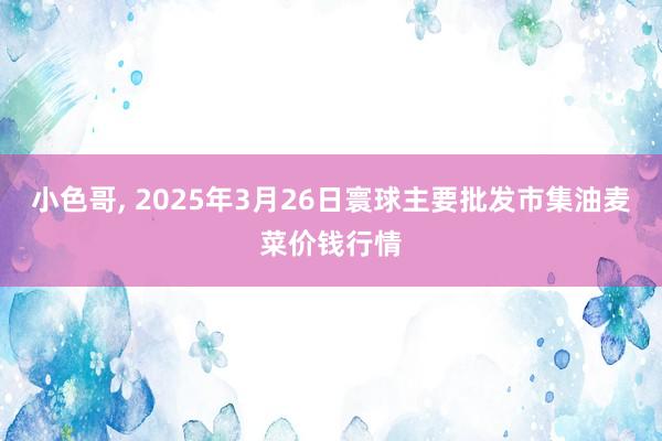 小色哥, 2025年3月26日寰球主要批发市集油麦菜价钱行情