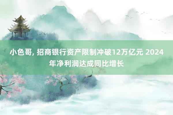 小色哥， 招商银行资产限制冲破12万亿元 2024年净利润达成同比增长