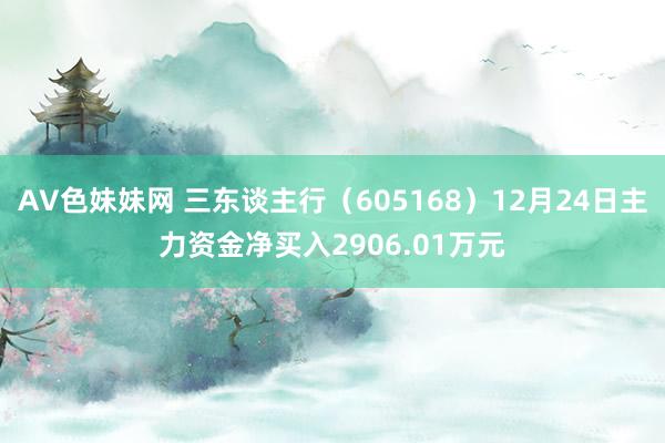 AV色妹妹网 三东谈主行（605168）12月24日主力资金净买入2906.01万元