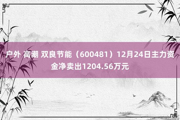 户外 高潮 双良节能（600481）12月24日主力资金净卖出1204.56万元
