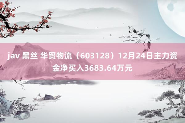 jav 黑丝 华贸物流（603128）12月24日主力资金净买入3683.64万元