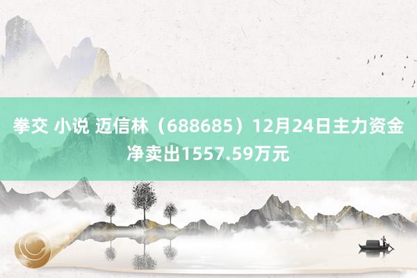 拳交 小说 迈信林（688685）12月24日主力资金净卖出1557.59万元