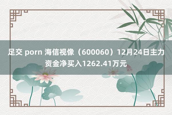 足交 porn 海信视像（600060）12月24日主力资金净买入1262.41万元