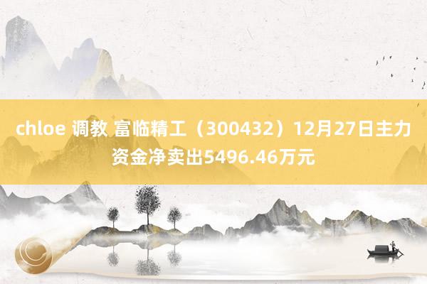chloe 调教 富临精工（300432）12月27日主力资金净卖出5496.46万元