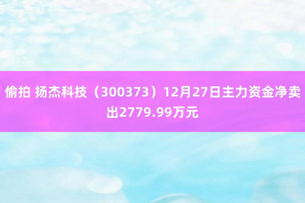 偷拍 扬杰科技（300373）12月27日主力资金净卖出2779.99万元