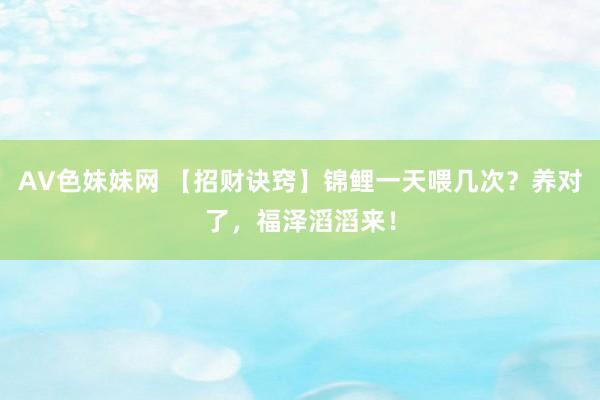 AV色妹妹网 【招财诀窍】锦鲤一天喂几次？养对了，福泽滔滔来！