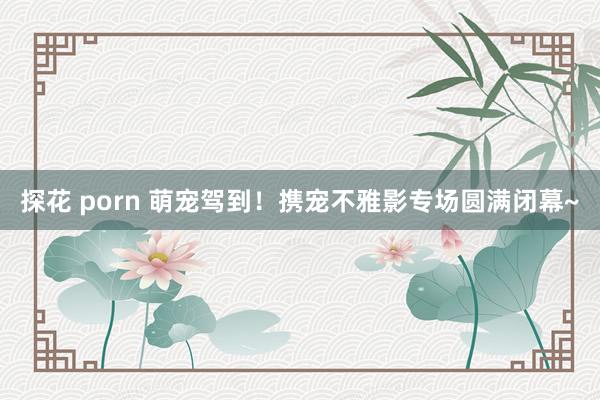 探花 porn 萌宠驾到！携宠不雅影专场圆满闭幕~