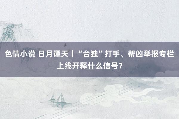色情小说 日月谭天丨“台独”打手、帮凶举报专栏上线开释什么信号？