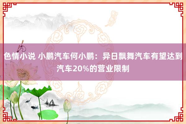 色情小说 小鹏汽车何小鹏：异日飘舞汽车有望达到汽车20%的营业限制