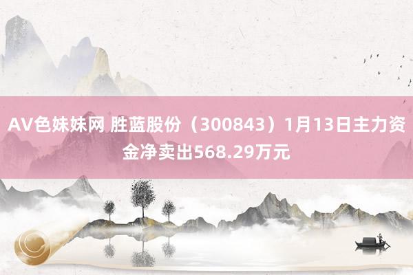 AV色妹妹网 胜蓝股份（300843）1月13日主力资金净卖出568.29万元