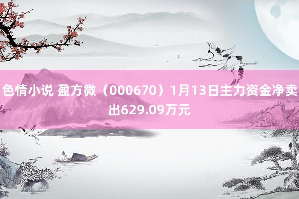 色情小说 盈方微（000670）1月13日主力资金净卖出629.09万元