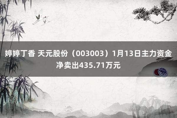 婷婷丁香 天元股份（003003）1月13日主力资金净卖出435.71万元
