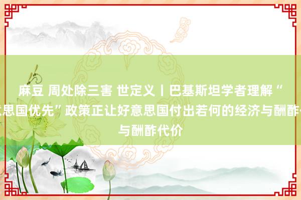 麻豆 周处除三害 世定义丨巴基斯坦学者理解“好意思国优先”政策正让好意思国付出若何的经济与酬酢代价