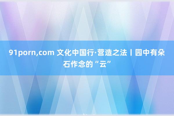 91porn，com 文化中国行·营造之法丨园中有朵石作念的“云”
