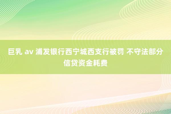 巨乳 av 浦发银行西宁城西支行被罚 不守法部分信贷资金耗费