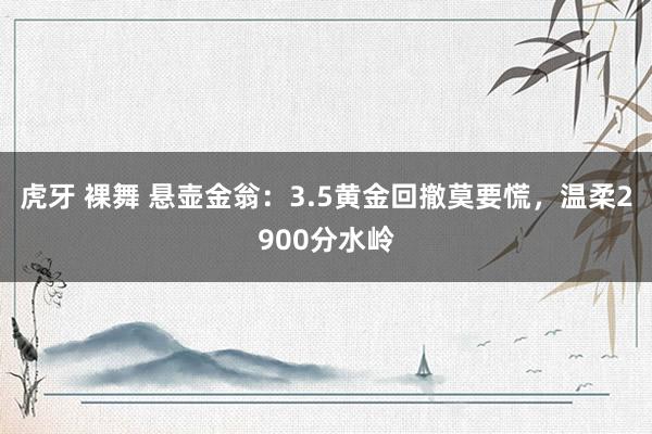 虎牙 裸舞 悬壶金翁：3.5黄金回撤莫要慌，温柔2900分水岭