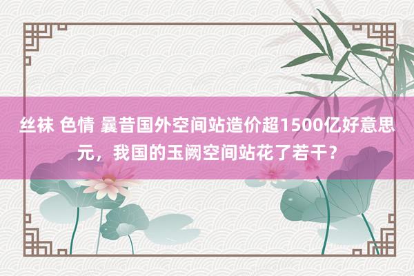 丝袜 色情 曩昔国外空间站造价超1500亿好意思元，我国的玉阙空间站花了若干？