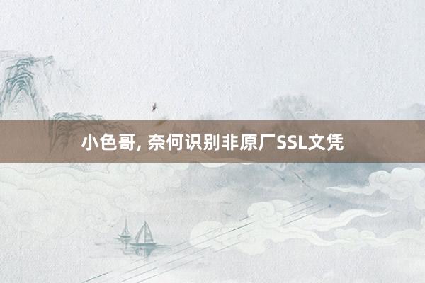 小色哥， 奈何识别非原厂SSL文凭