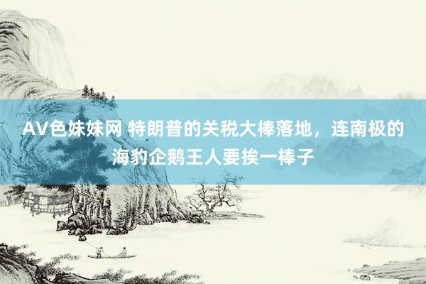 AV色妹妹网 特朗普的关税大棒落地，连南极的海豹企鹅王人要挨一棒子