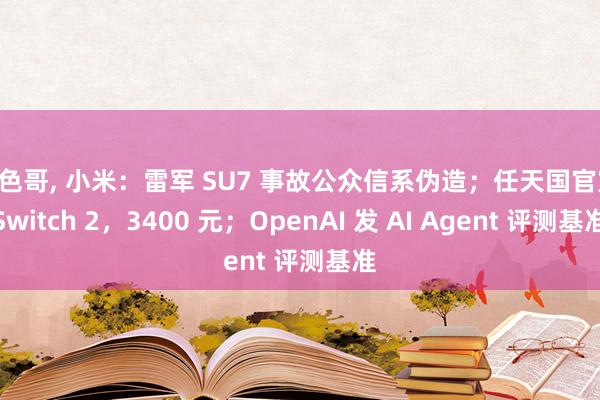 小色哥， 小米：雷军 SU7 事故公众信系伪造；任天国官宣 Switch 2，3400 元；OpenAI 发 AI Agent 评测基准