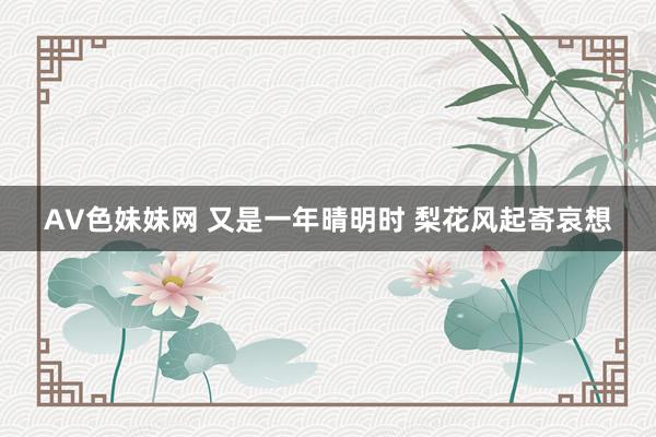 AV色妹妹网 又是一年晴明时 梨花风起寄哀想