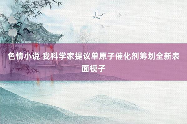 色情小说 我科学家提议单原子催化剂筹划全新表面模子