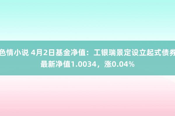 色情小说 4月2日基金净值：工银瑞景定设立起式债券最新净值1.0034，涨0.04%