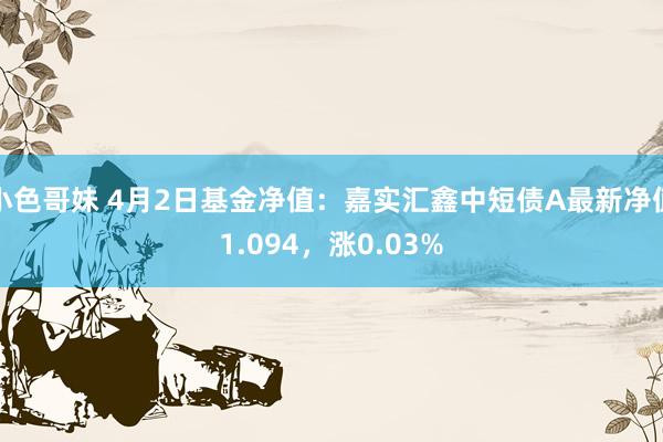 小色哥妹 4月2日基金净值：嘉实汇鑫中短债A最新净值1.094，涨0.03%