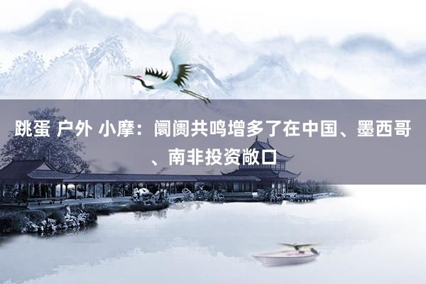 跳蛋 户外 小摩：阛阓共鸣增多了在中国、墨西哥、南非投资敞口