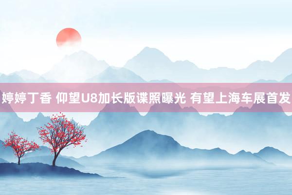 婷婷丁香 仰望U8加长版谍照曝光 有望上海车展首发