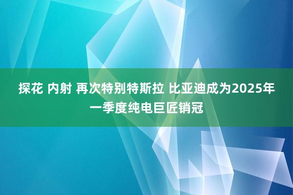 探花 内射 再次特别特斯拉 比亚迪成为2025年一季度纯电巨匠销冠