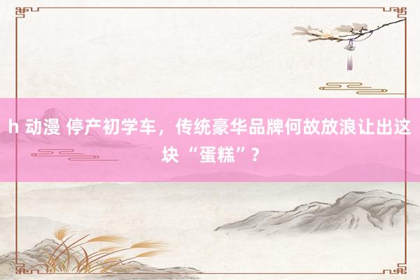 h 动漫 停产初学车，传统豪华品牌何故放浪让出这块 “蛋糕”？