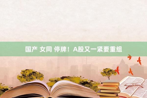 国产 女同 停牌！A股又一紧要重组