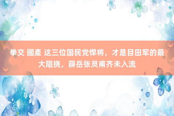 拳交 國產 这三位国民党悍将，才是目田军的最大阻挠，薛岳张灵甫齐未入流