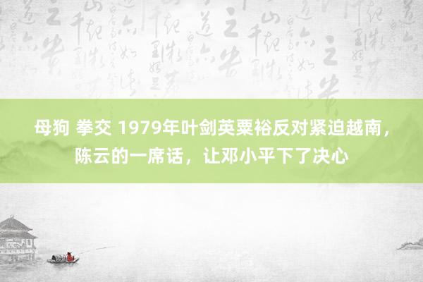 母狗 拳交 1979年叶剑英粟裕反对紧迫越南，陈云的一席话，让邓小平下了决心