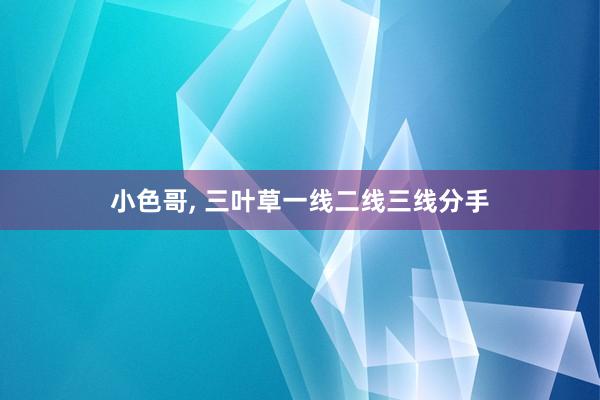 小色哥， 三叶草一线二线三线分手
