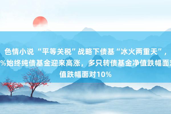 色情小说 “平等关税”战略下债基“冰火两重天”，98.65%始终纯债基金迎来高涨，多只转债基金净值跌幅面对10%