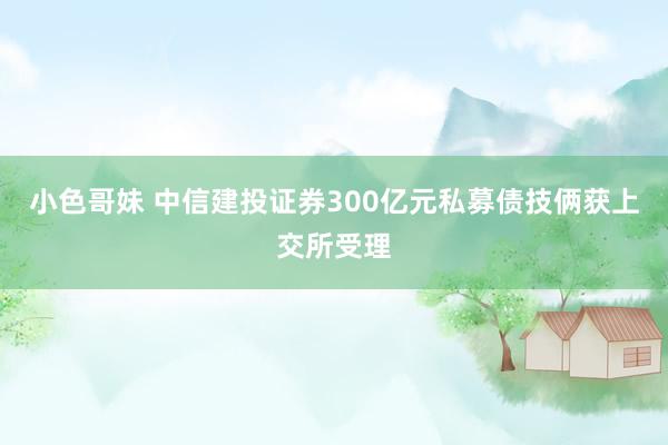 小色哥妹 中信建投证券300亿元私募债技俩获上交所受理