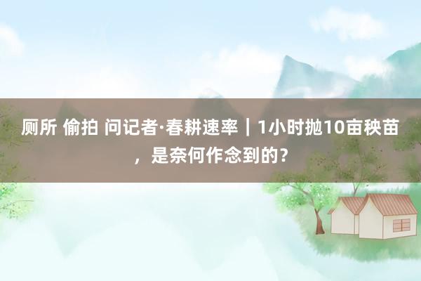 厕所 偷拍 问记者·春耕速率｜1小时抛10亩秧苗，是奈何作念到的？