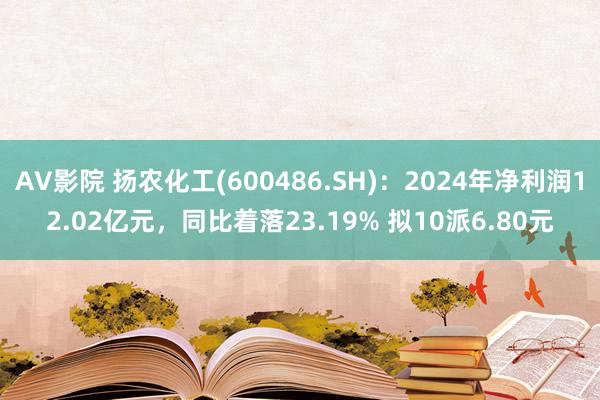 AV影院 扬农化工(600486.SH)：2024年净利润12.02亿元，同比着落23.19% 拟10派6.80元