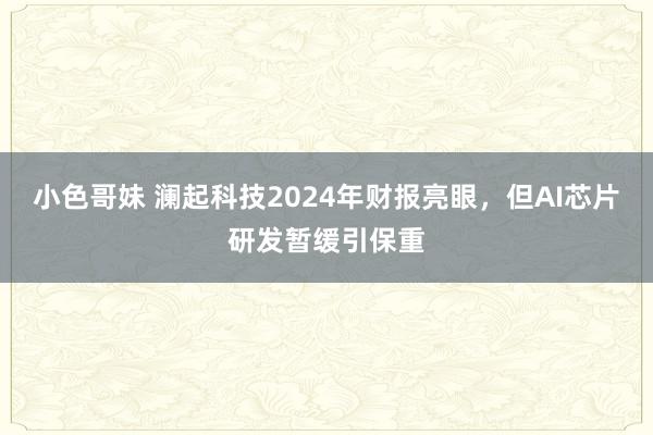 小色哥妹 澜起科技2024年财报亮眼，但AI芯片研发暂缓引保重