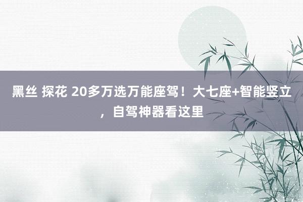 黑丝 探花 20多万选万能座驾！大七座+智能竖立，自驾神器看这里