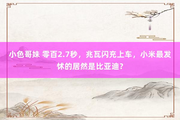 小色哥妹 零百2.7秒，兆瓦闪充上车，小米最发怵的居然是比亚迪？