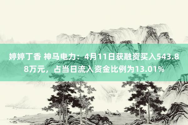 婷婷丁香 神马电力：4月11日获融资买入543.88万元，占当日流入资金比例为13.01%
